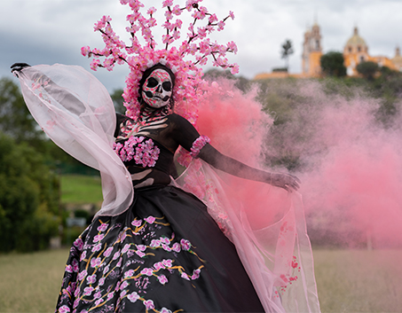 Vista Tourism & Travel A.S.